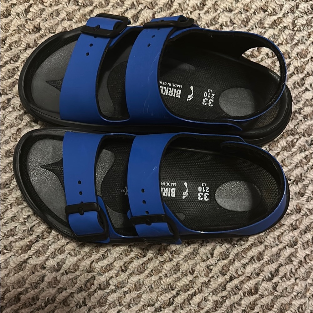 Birkenstock Bold Blue Sandals
